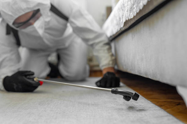 Professional Bed Bug Control technician working in Locust Grove, GA