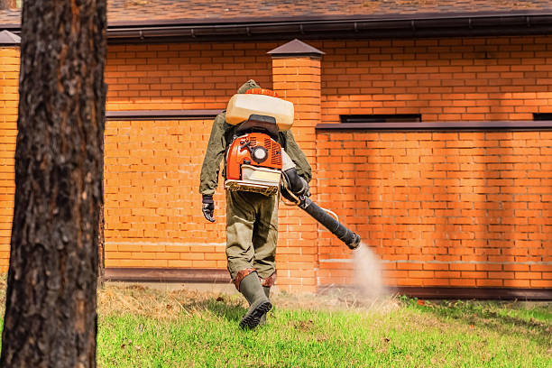 Trusted Ant Control service in Locust Grove, GA - Nex Pest Control